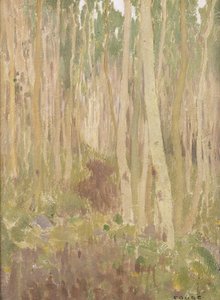 アスペン交響曲、1902